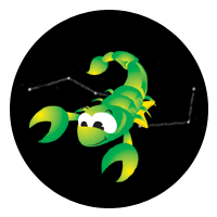 �����ڸ� 2026�� ���ڸ��